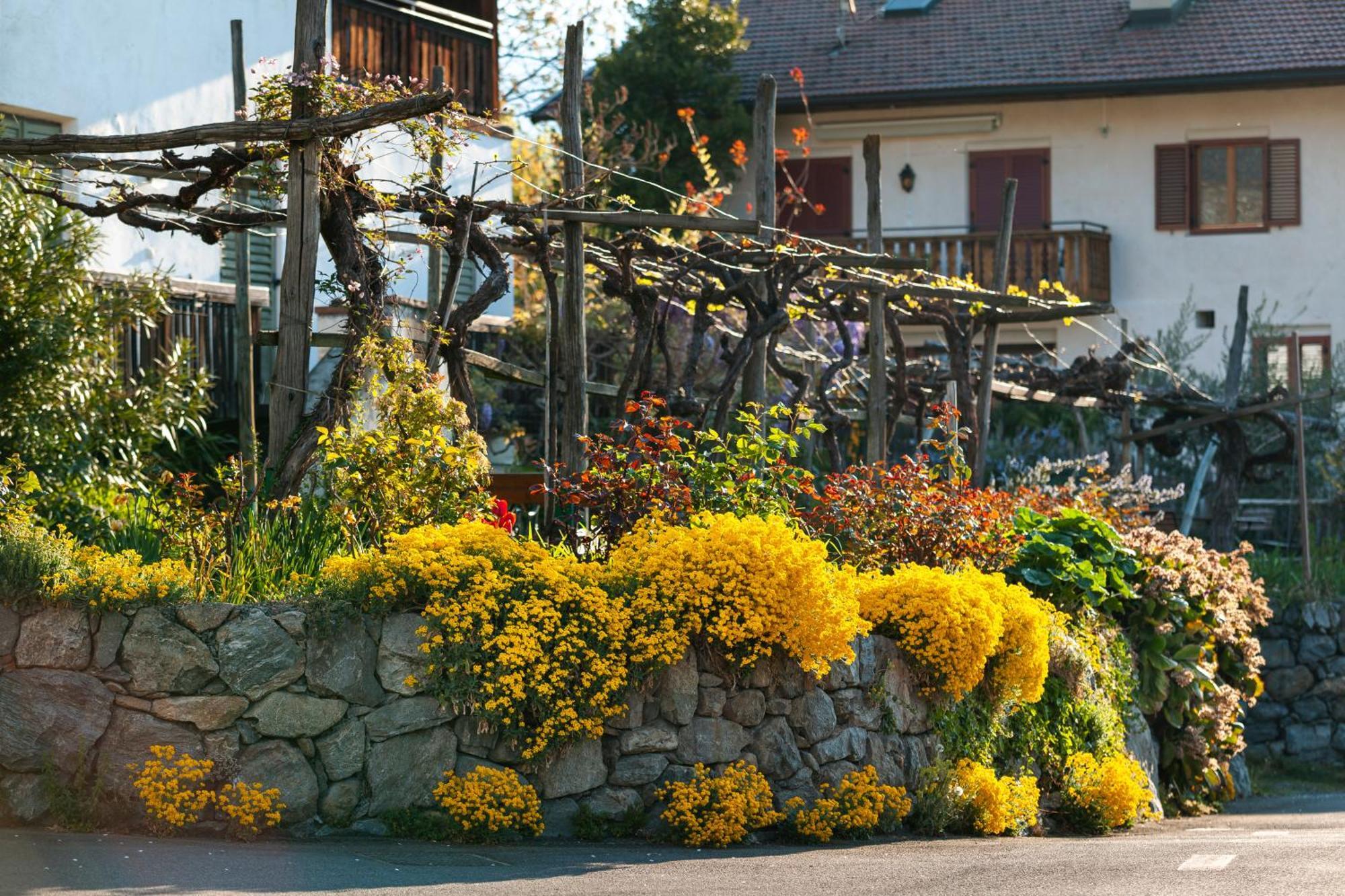 Ferienwohnungen St Hippolyt Mit Hallenbad Lagundo Exteriör bild